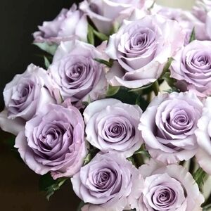 Meet your Posher, Meg